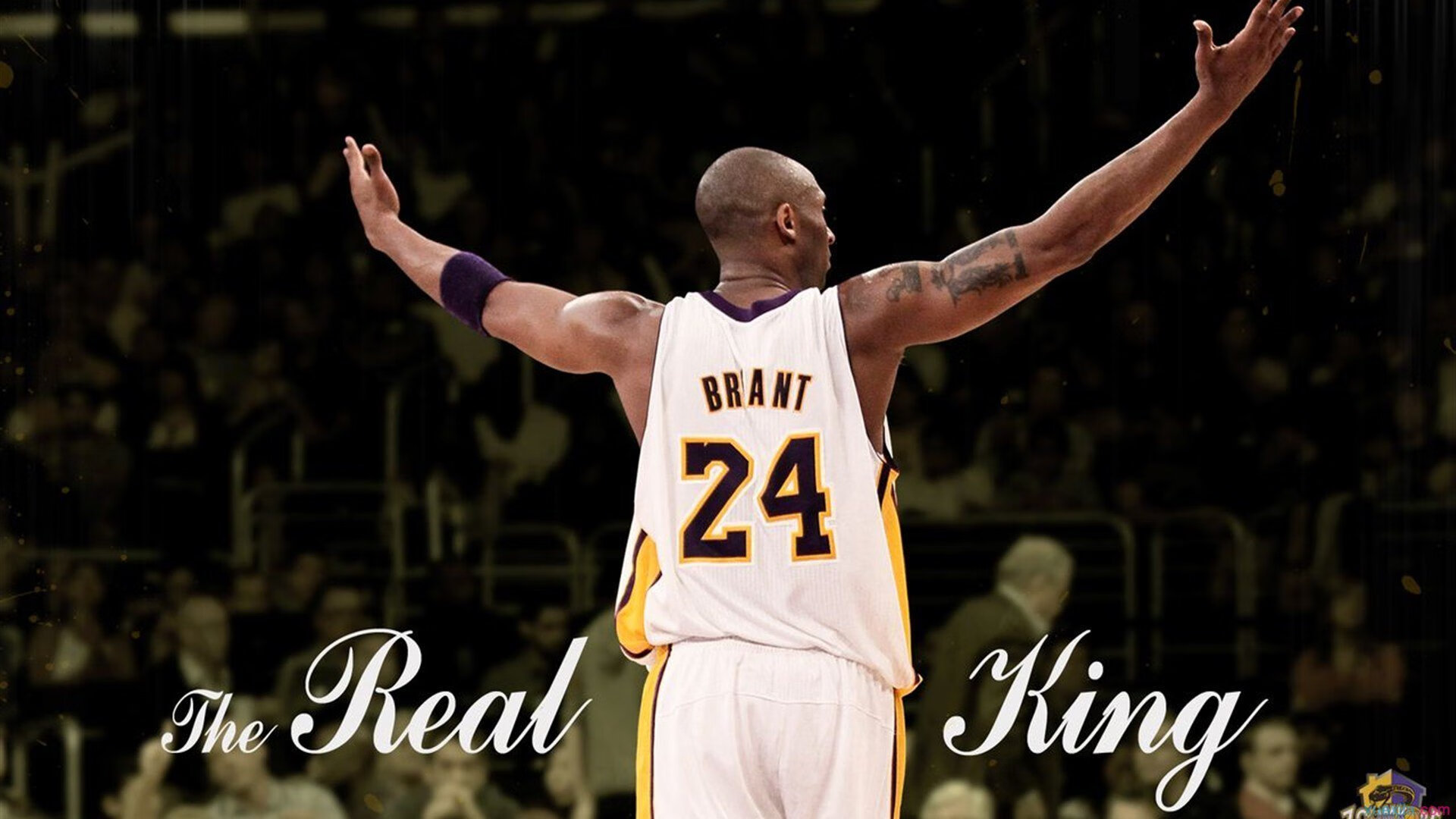 引擎轰鸣,新王加冕,恩佐在F1揭幕战之夜的冠军级表演