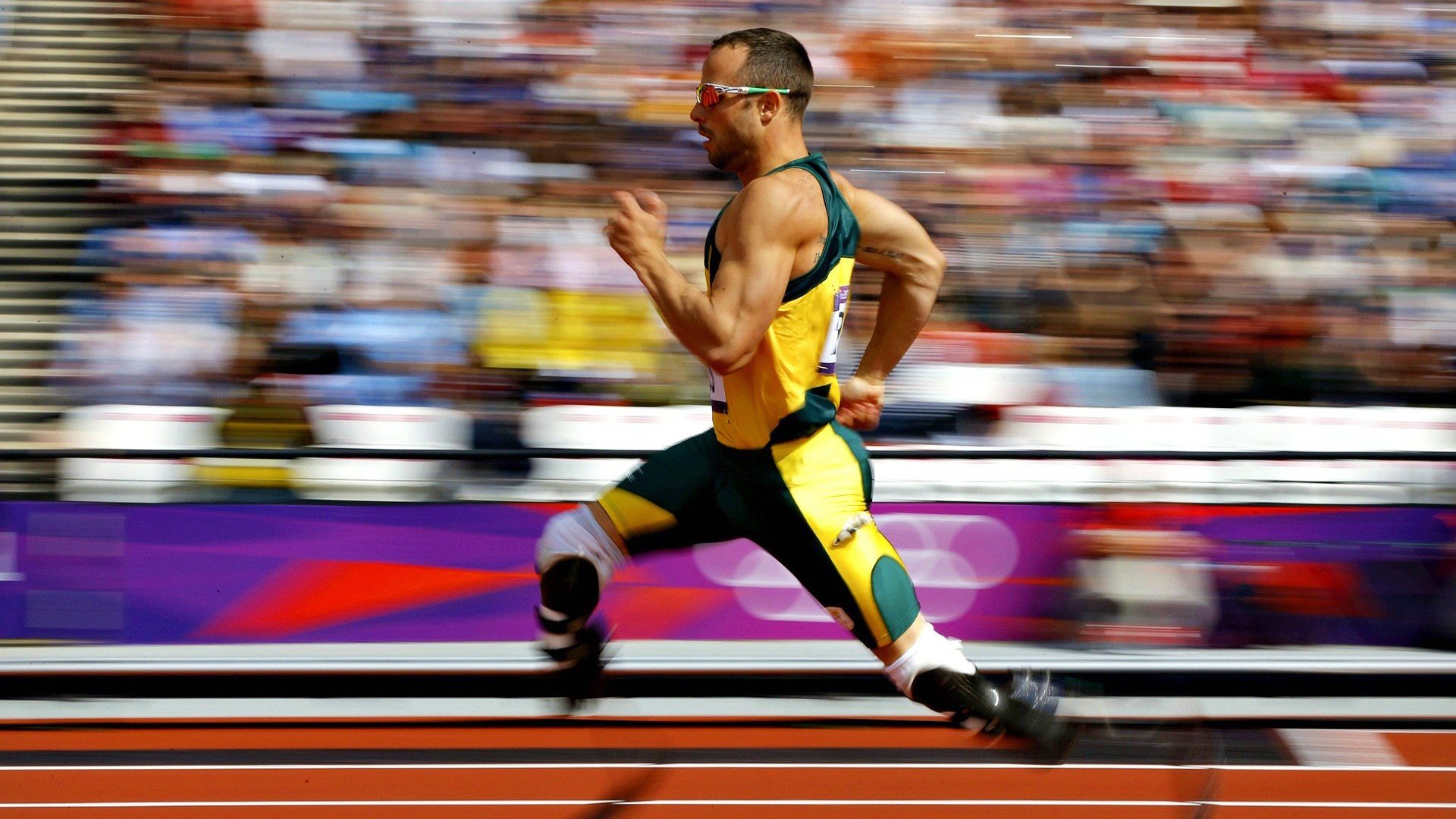 DB电竞-从墨尔本到都灵，梅德韦杰夫的进化论—ATP总决赛绝杀如何重塑澳网心魔